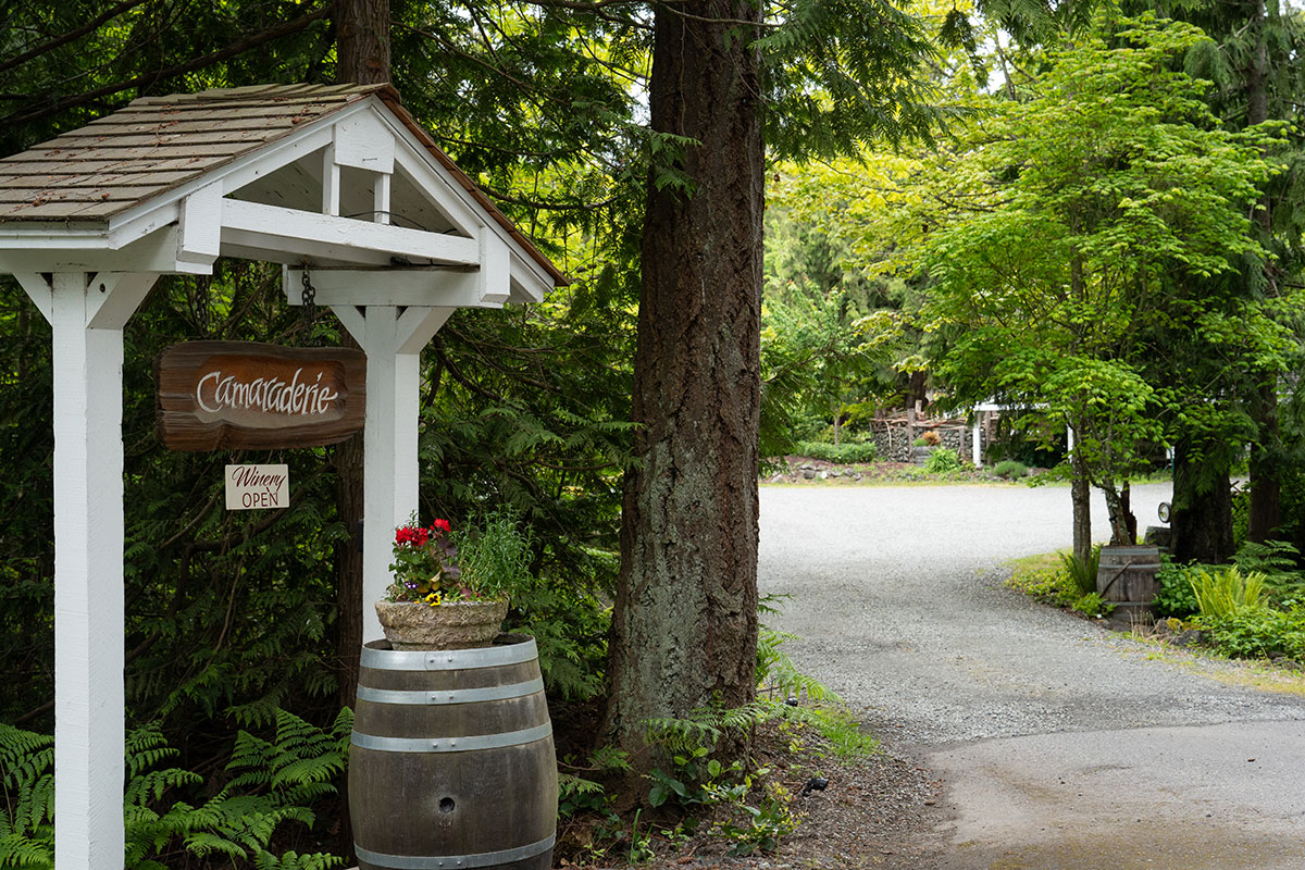 winery drive