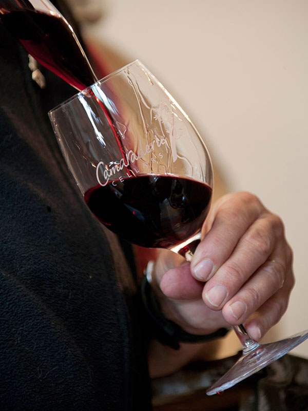 wine maker taste